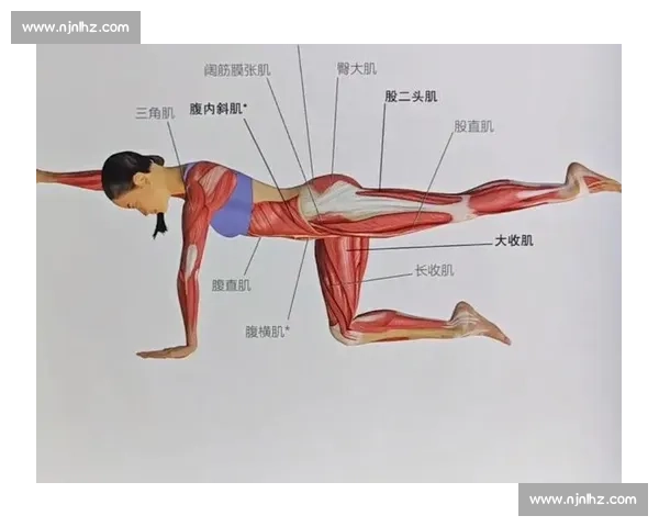 以核心力量训练为基础提升全身运动表现与功能的科学方法